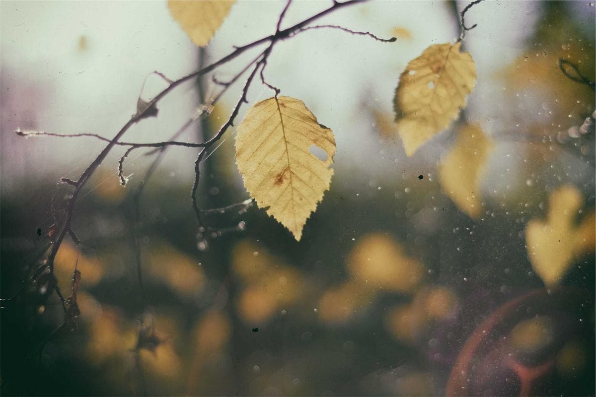 Open-Source LLMs Achieving Frontier Reasoning Parity - Vol. 6